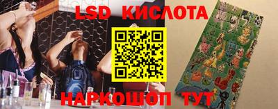 прущие грибы Малоярославец
